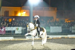 P1000838