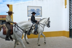 P1000948