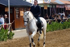 P1000974