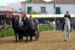 P1000976
