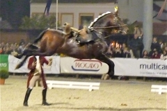 P1010200