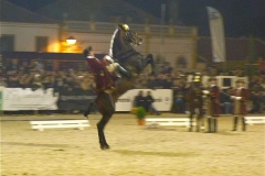 P1010204