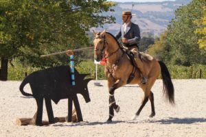 Working Equitation